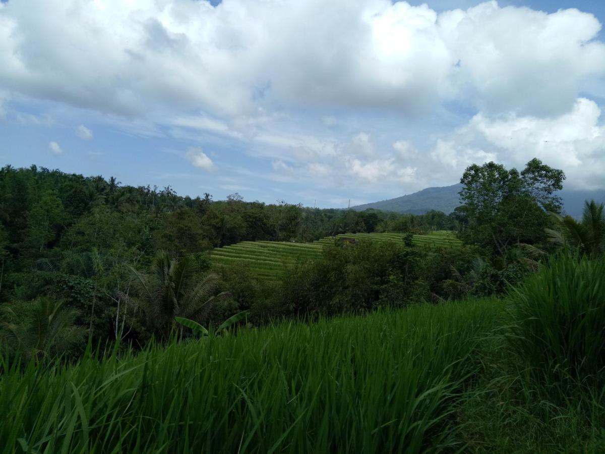 迪娜民宿 贾蒂卢维 外观 照片